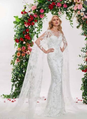 Appliques Backless Wedding Dress with Sleeve