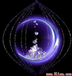 Weddings & Events test zidingyi new