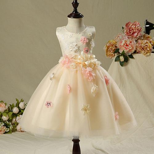 Champagne Flower Girl Dress Handwork Flower Applique Beads Sequines Sleeveless Princess Party Pageant Bridesmaid Kids Formal Tull Gowns