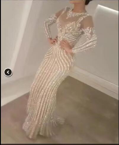 Real sampple High Quality Light Champagne Evening Dresses with loong sleeve Mermaidl Arabic Prom Party Dress