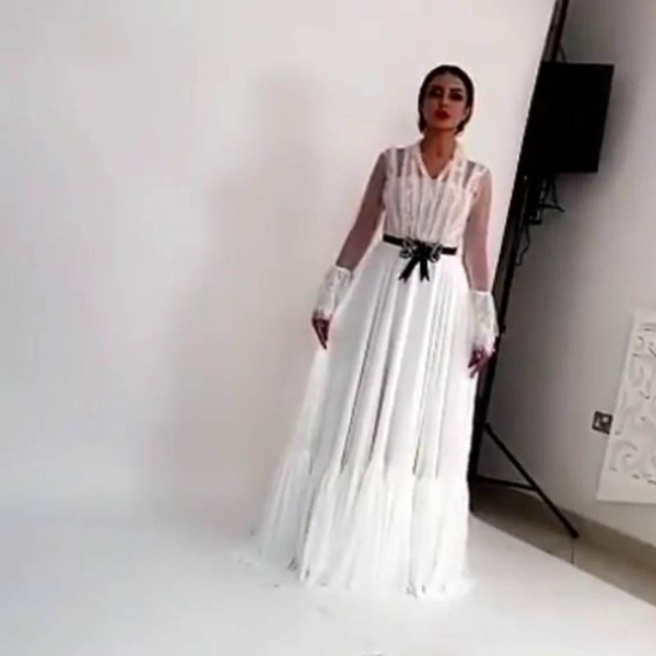 A-line Evening Dresses 2017 Elegant V Neckline Long Poet Sleeve Floor Length V-Neck Appliques Prom Gowns