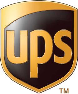 Extra cost for rapid transportation dhl/ups/tnt