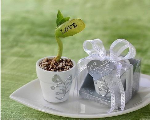 100pcs/lot Novel Corporate wedding gift love romance magic beans Wedding Favors party guess gifts